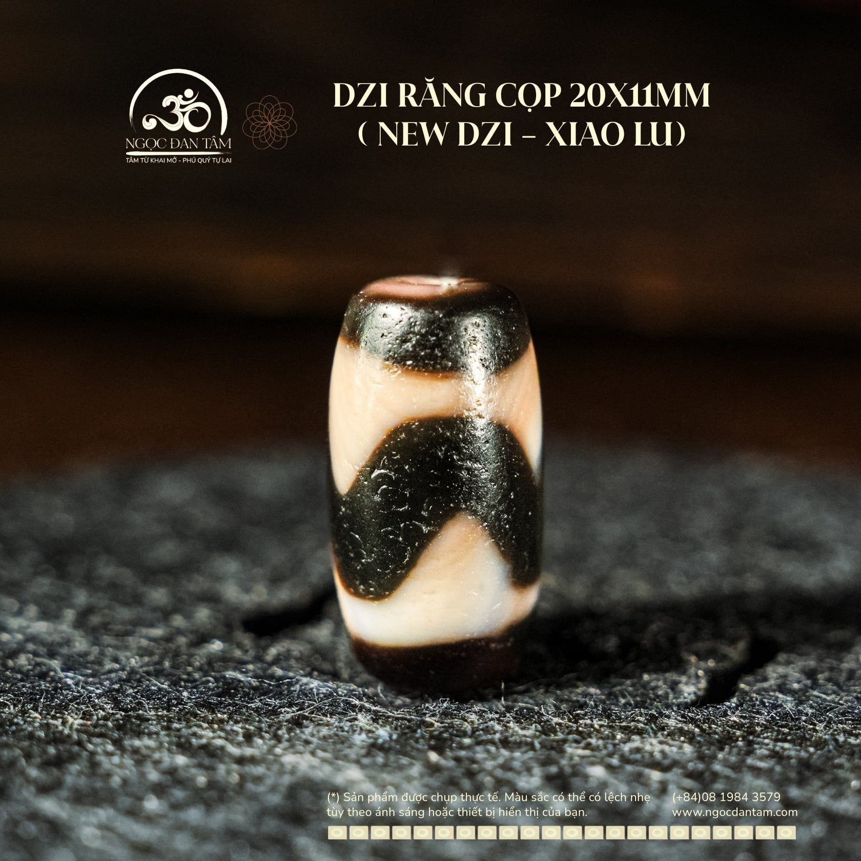  Dzi Răng Cọp 20x11mm (New Dzi - Xiao Lu) 