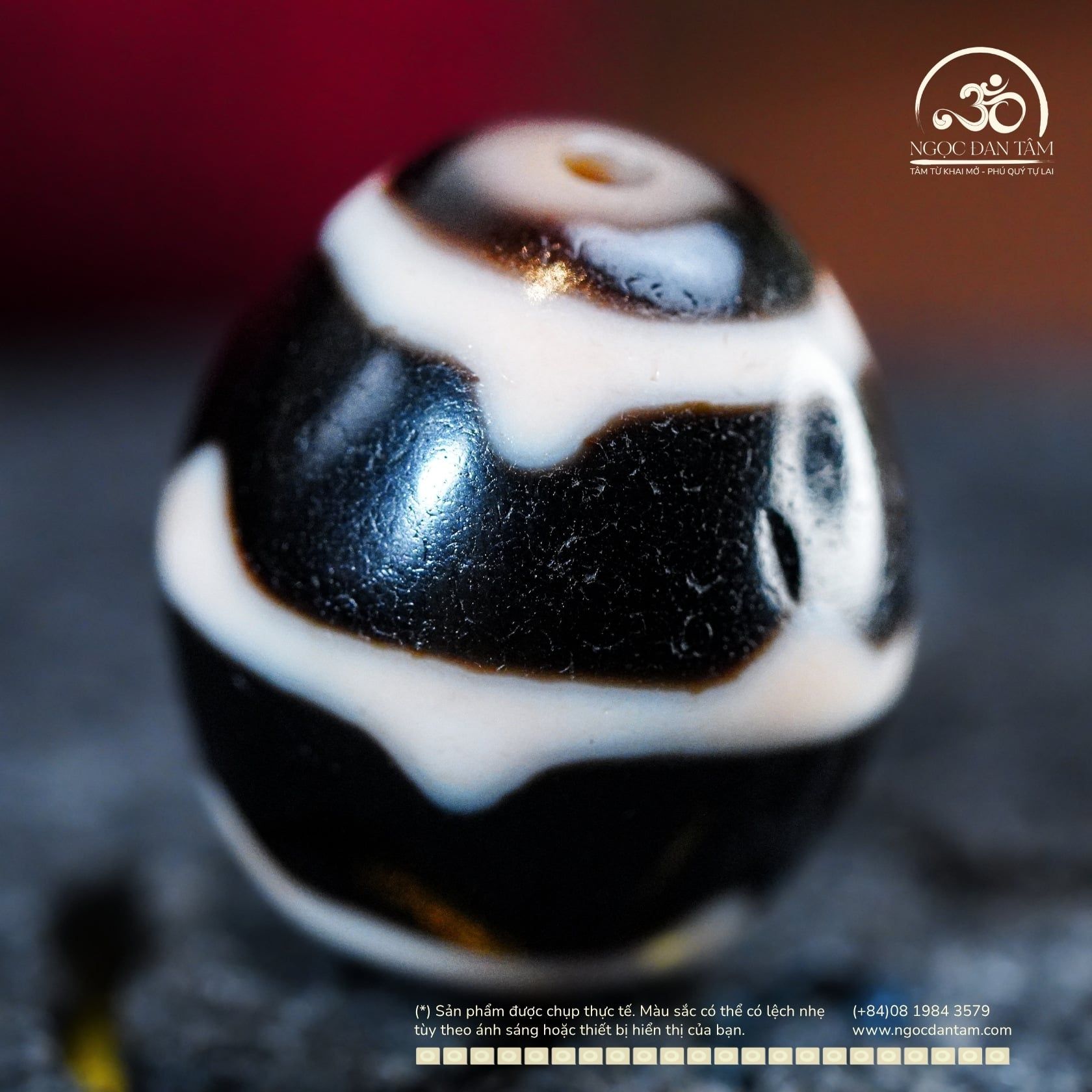  Dzi Răng Cọp Kép 20x17mm (New Dzi - Ju Yuan) 
