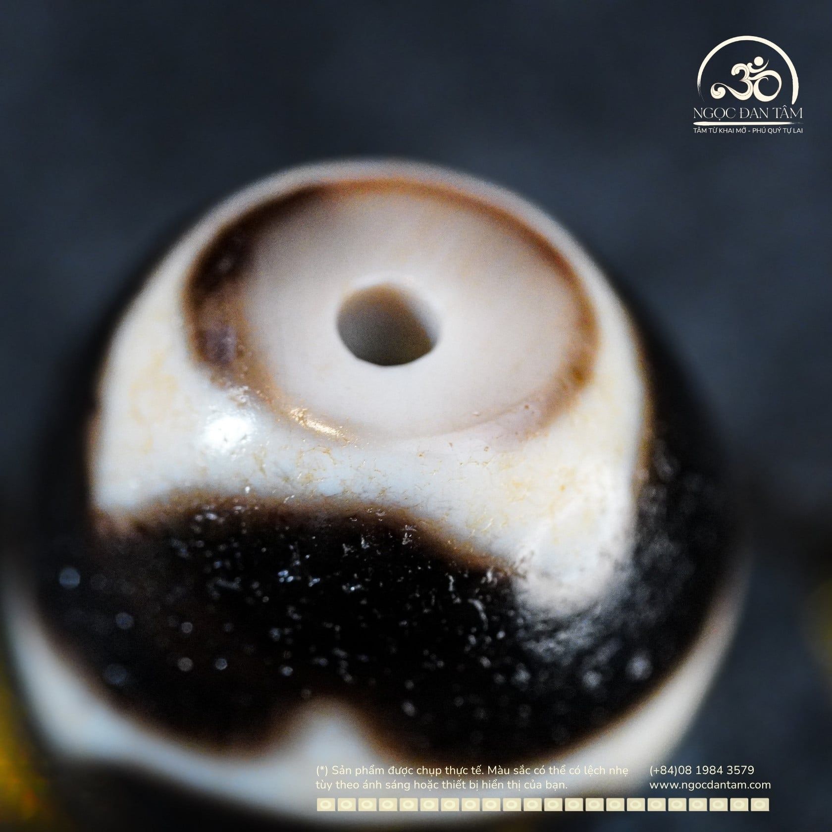  Dzi Răng Cọp Kép 17x14mm (New Dzi - JiangChen) 
