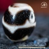  Dzi Răng Cọp Kép 17x14mm (New Dzi - JiangChen) 