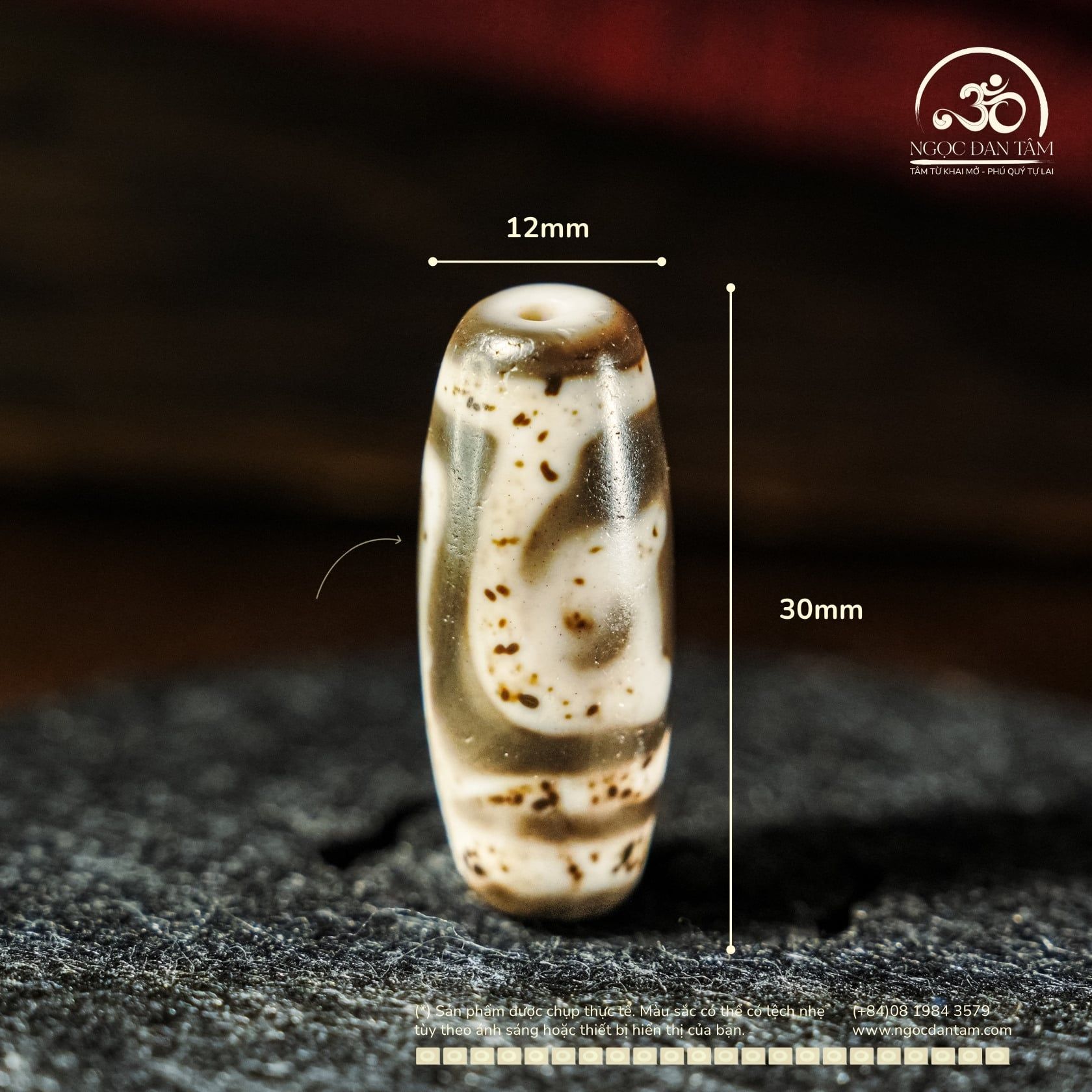  Dzi Tara Xanh 30x12mm (New Dzi - Xiao Lu) 
