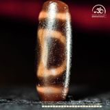  Dzi Thiên Địa 34x12mm (New Dzi -Xiao Lu) 