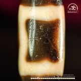  Dzi Thiên Địa 36x13mm (New Dzi - Xiao Lu) 