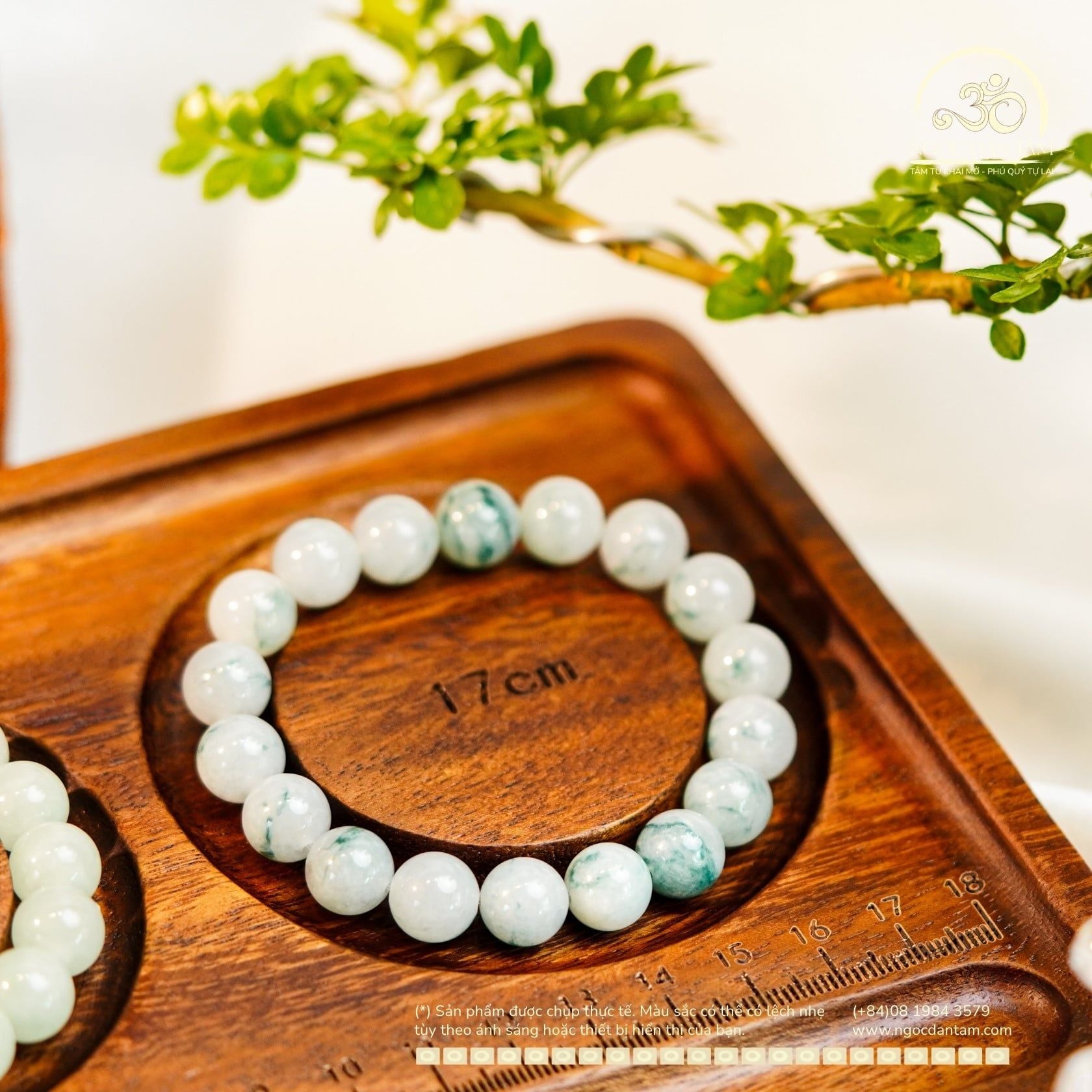  Vòng Tay Ngọc Myanmar 10mm (LIU 505512) 