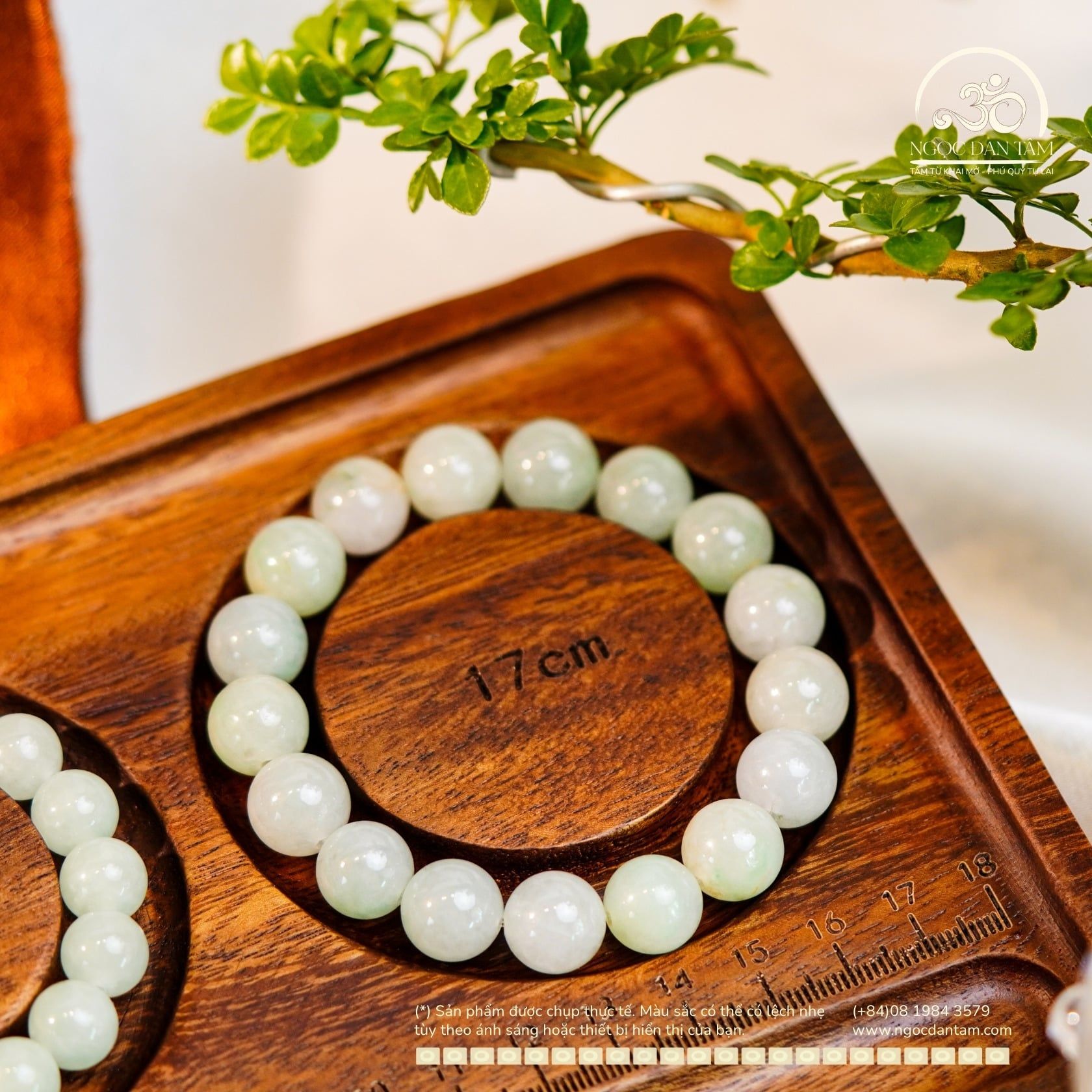  Vòng Tay Ngọc Myanmar 12mm (LIU 541648) 