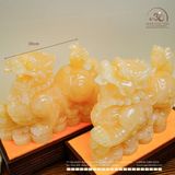  Tỳ Hưu Ngọc Hoàng Long 