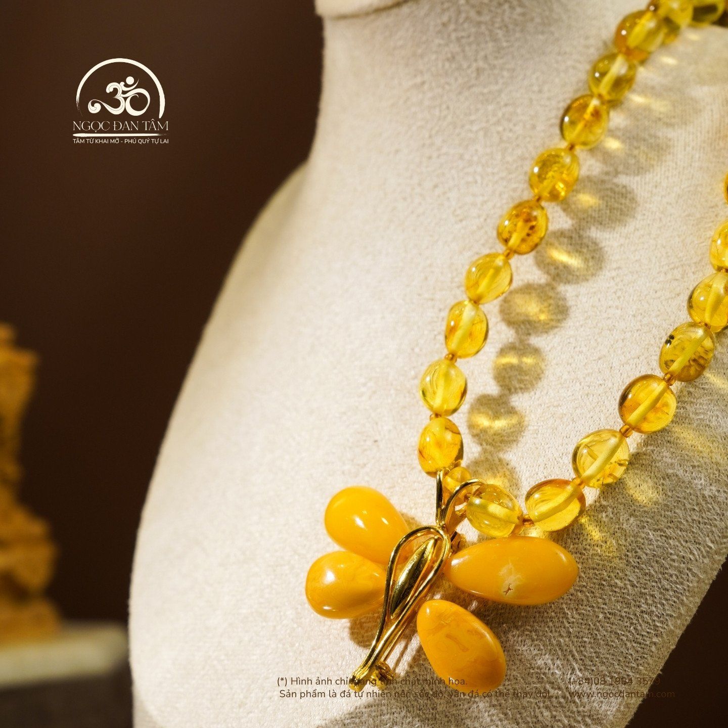  Vòng Cổ Hổ Phách Vàng Trong Phối Cài Áo Chuồn Chuồn 29gram 