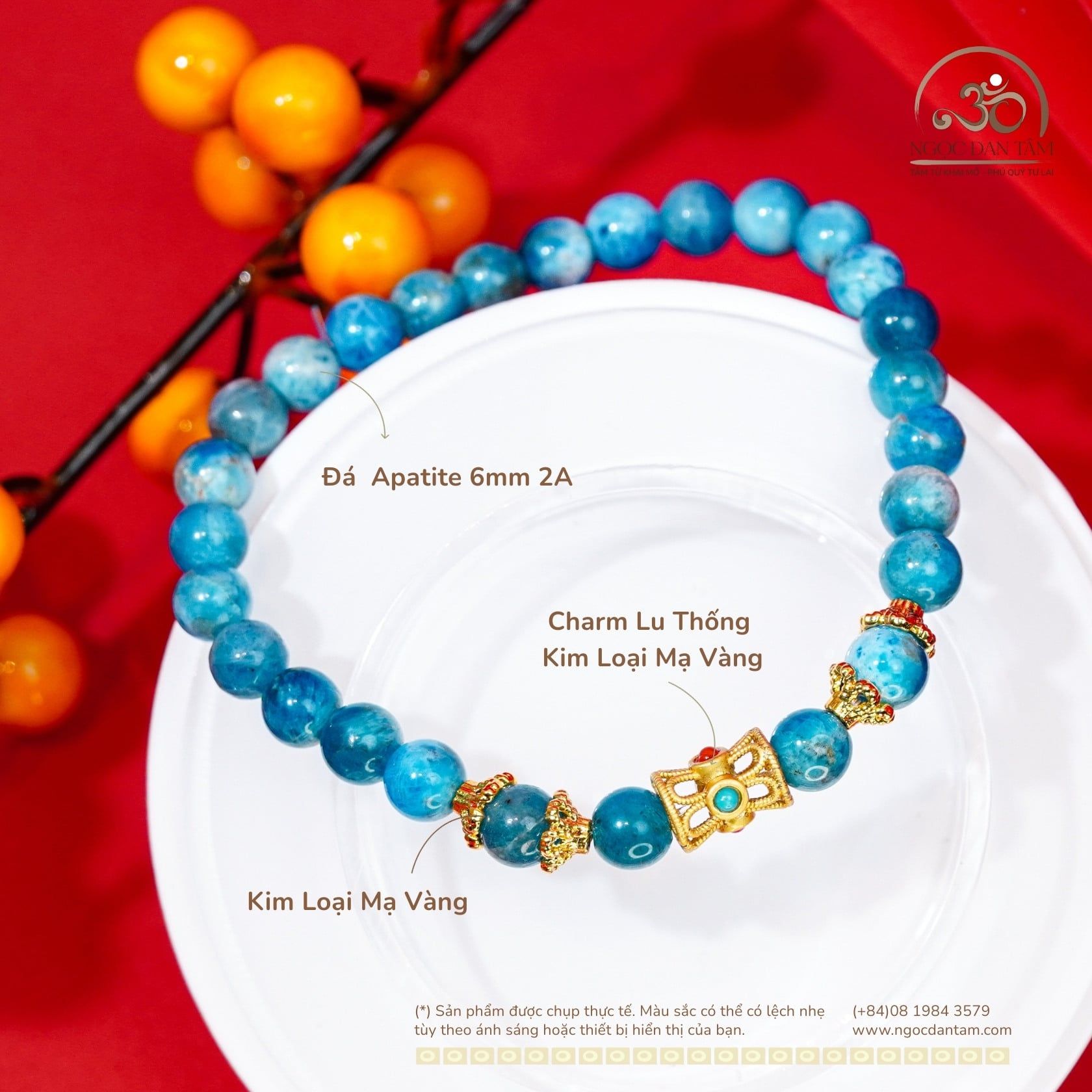  Vòng tay Apatite 6mm 2A Phối Charm Trụ 2 Màu 