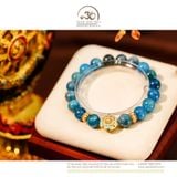  Vòng Tay Apatite 10mm 2A Phối Charm Sứ Thanh Hoa Đính Ngọc Trai 