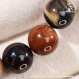  Vòng Tay Đá Gỗ Hóa Thạch 10mm 2A 