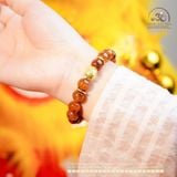 Vòng Tay Thạch Anh Tóc Nâu 11mm Phối Charm Mai Rùa 