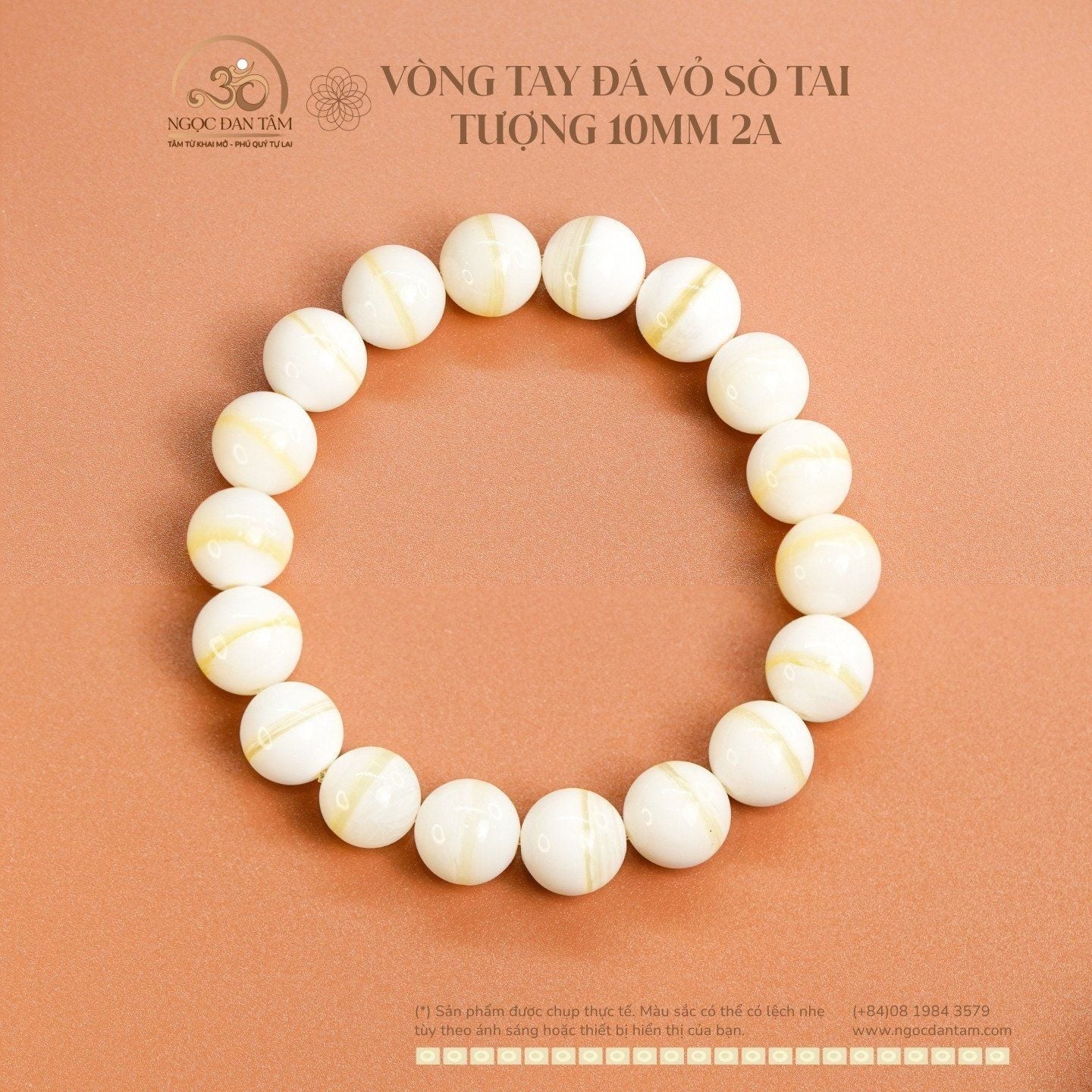  Vòng Tay Vỏ Sò Tai Tượng 10mm 2A 