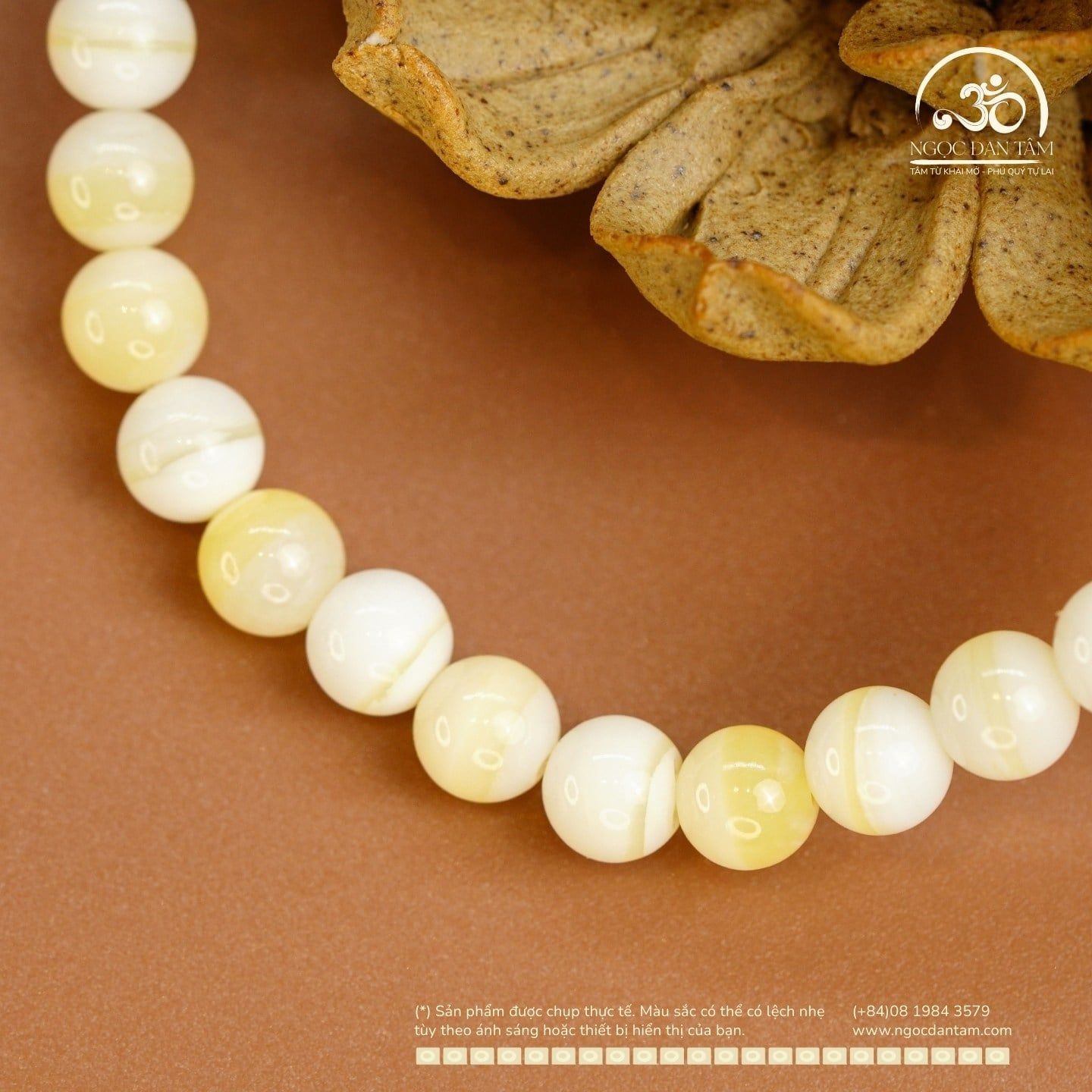  Vòng Tay Vỏ Sò Tai Tượng 6mm 2A 