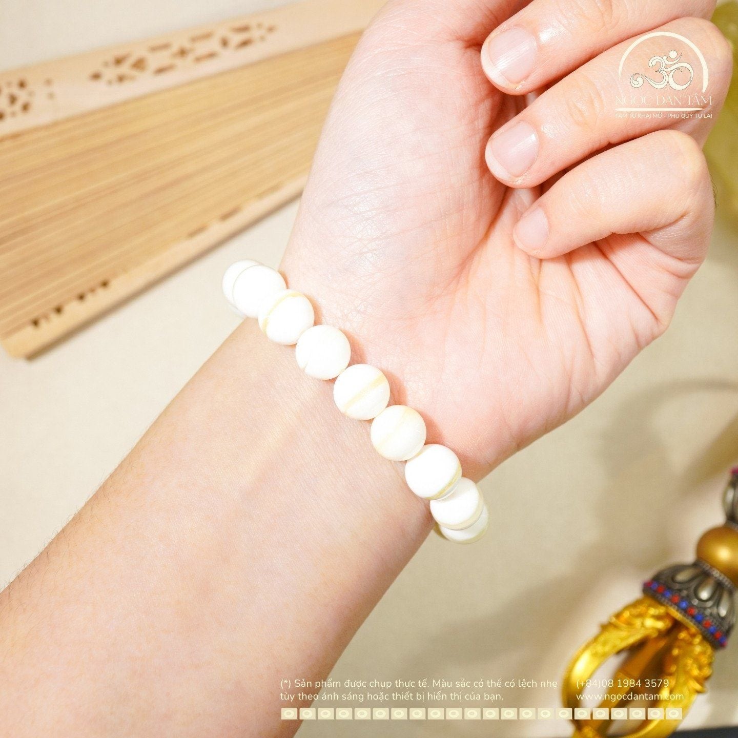  Vòng Tay Vỏ Sò Tai Tượng 10mm 2A 