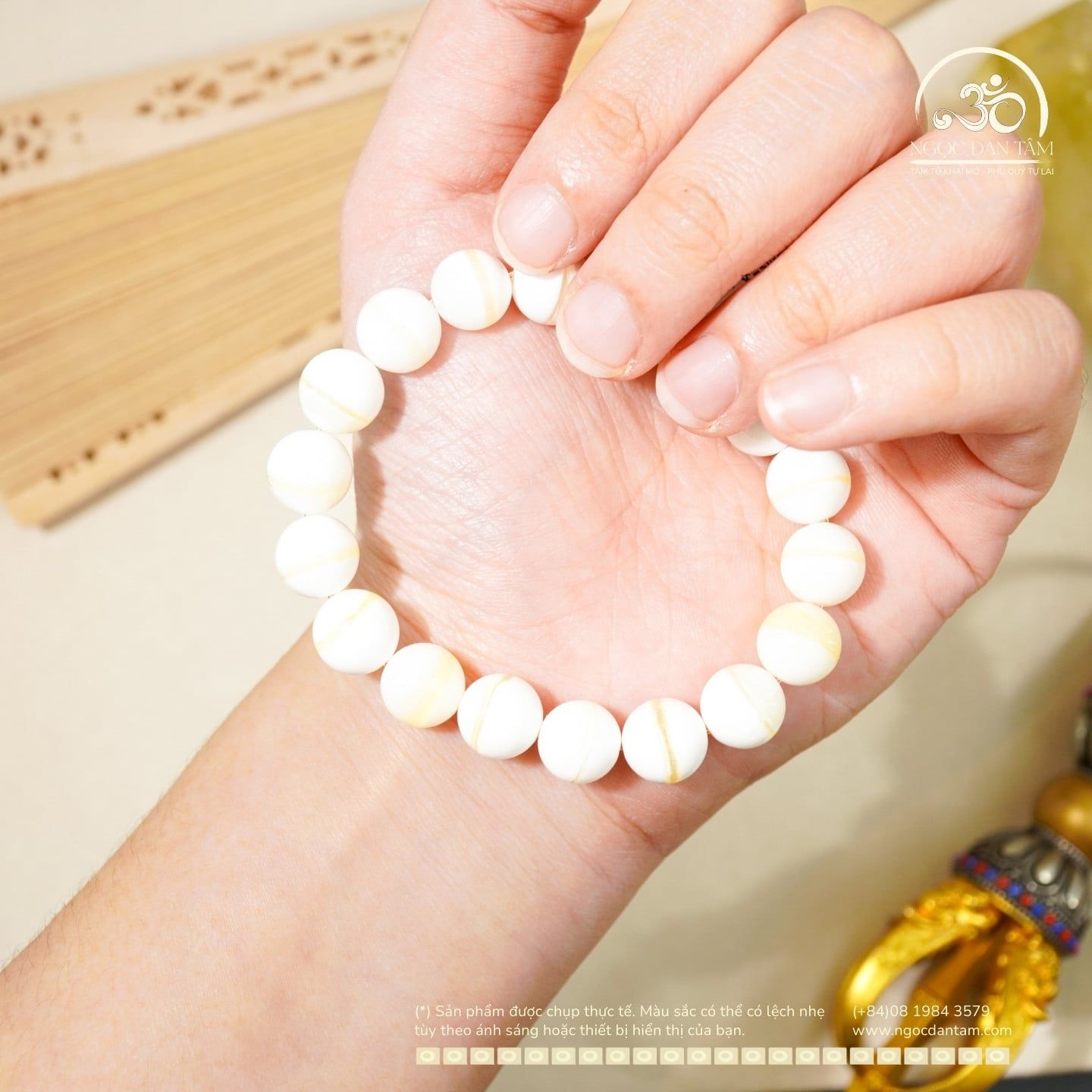  Vòng Tay Vỏ Sò Tai Tượng 10mm 2A 