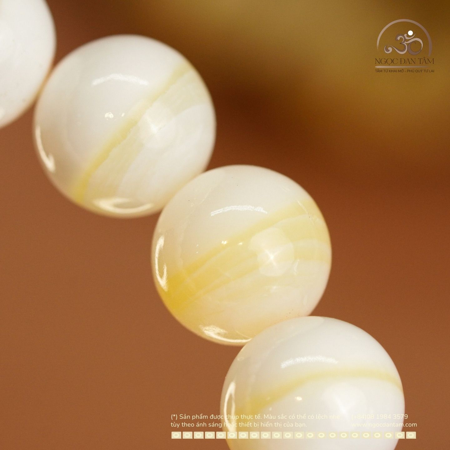  Vòng Tay Vỏ Sò Tai Tượng 10mm 2A 