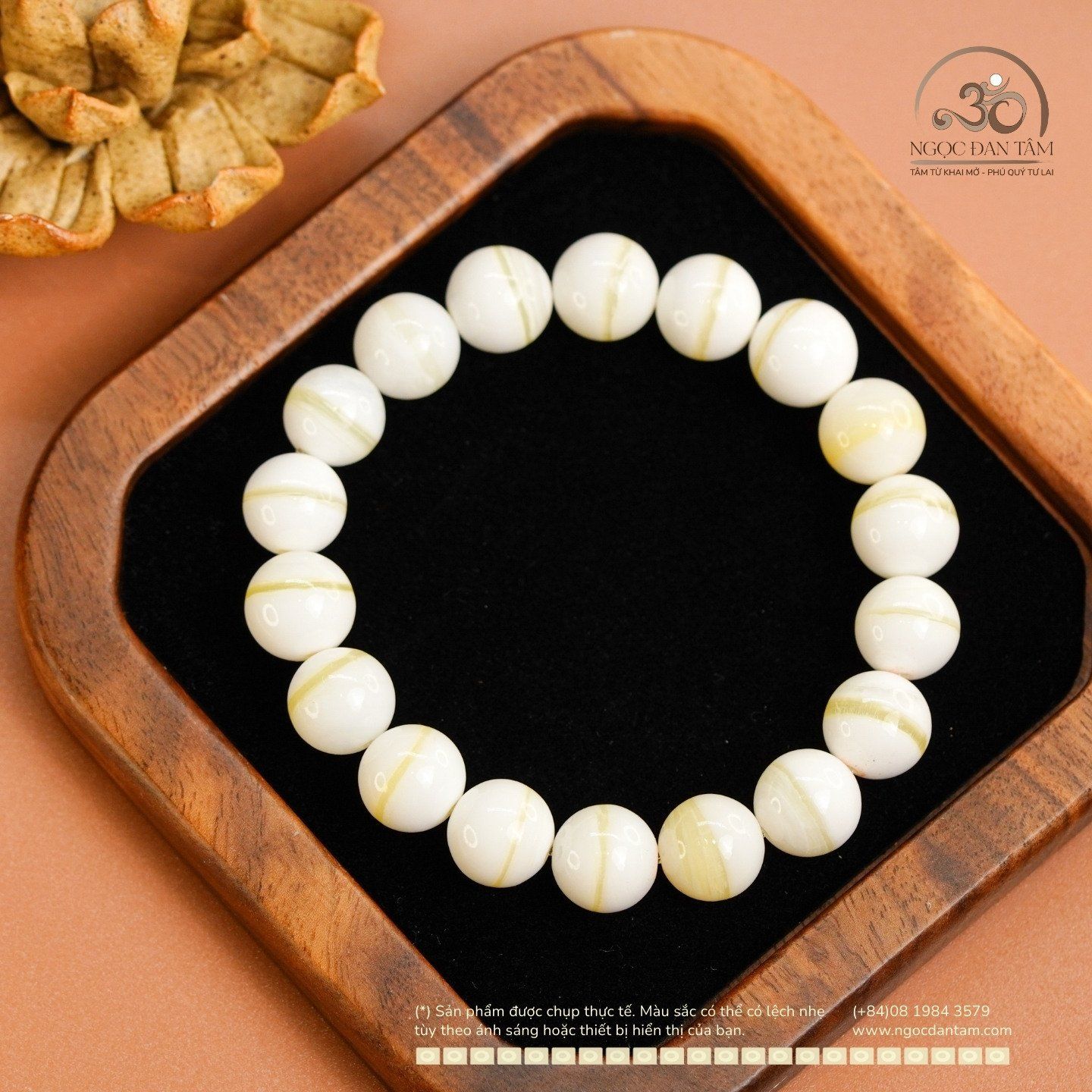  Vòng Tay Vỏ Sò Tai Tượng 10mm 2A 