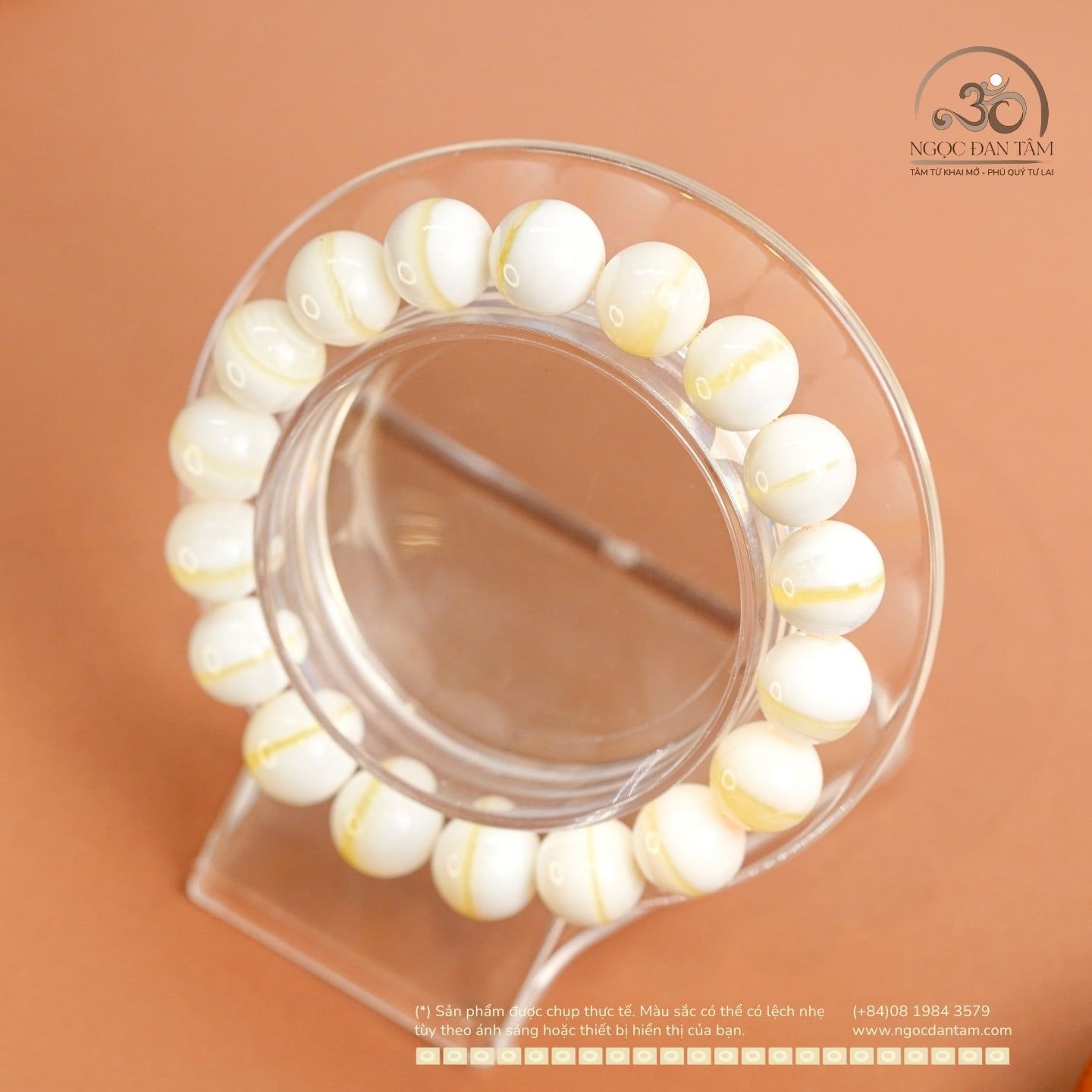  Vòng Tay Vỏ Sò Tai Tượng 10mm 2A 