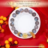  Vòng Tay Xà Cừ VIP 10-11mm 5A Phối Charm Bánh Xe Pháp Luân 