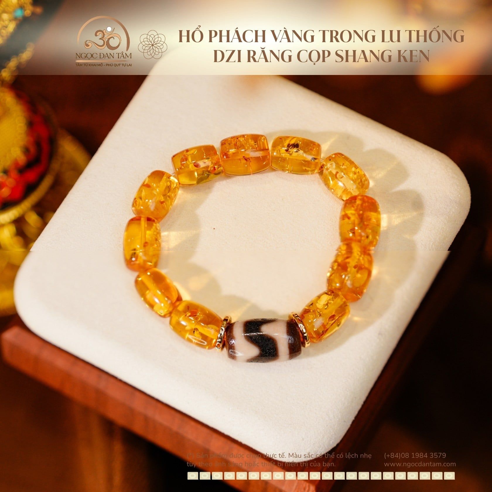  Vòng Tay Hổ Phách Vàng Trong Lu Thống Phối Dzi Răng Cọp Shang Ken 