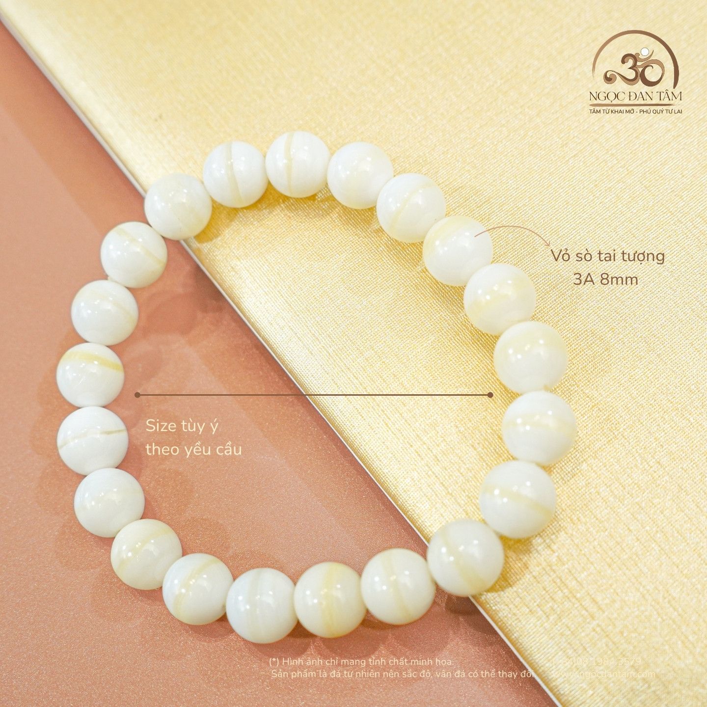  Vòng Tay Vỏ Sò Tai Tượng 3A 8mm 