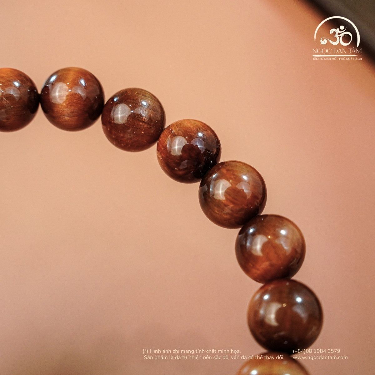  Vòng Tay Mắt Hổ Nâu Đỏ 10mm 5A Phối Charm Lu Thống Tỳ Hưu 