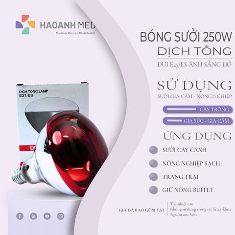 Bóng Đèn Sưởi DỊCH TÔNG Đui E27/ES 250W