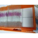 Hộp đựng lam kính 50 vị trí