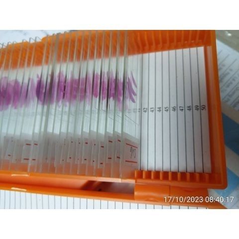 Hộp đựng lam kính 50 vị trí