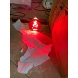 Bóng Đèn Sưởi DỊCH TÔNG Đui E27/ES 250W