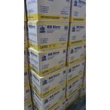 Găng cao su Tay y tế Latex không bột - HB Glove XS