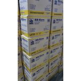 Găng cao su Tay y tế Latex không bột - HB Glove S