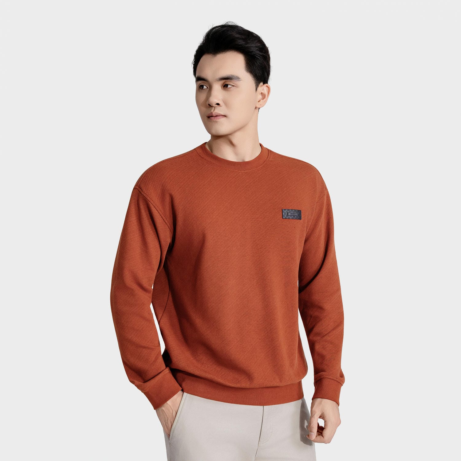 Áo Nỉ Sweatshirt Nam Họa Tiết Aristino Casual Fit ASW006BS0