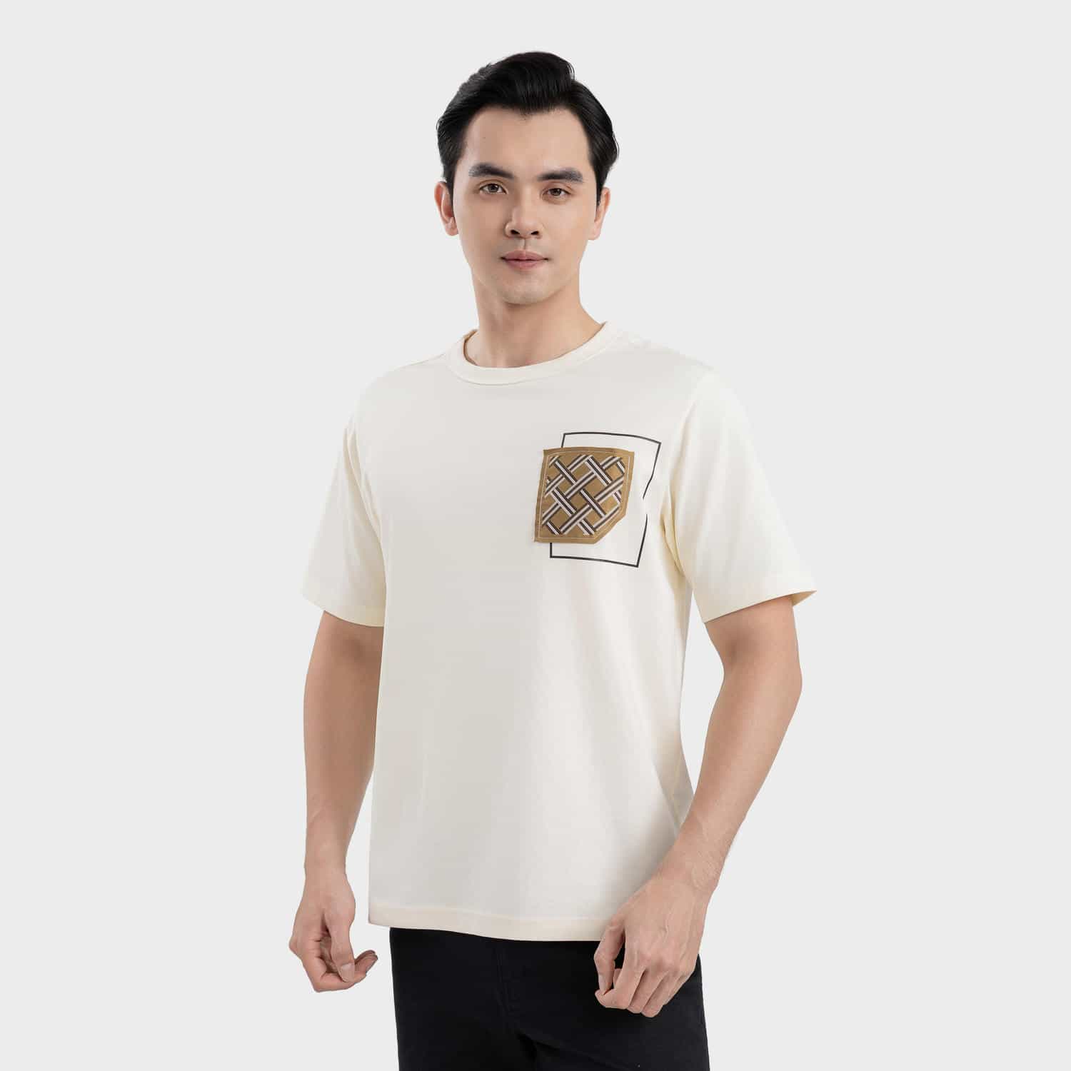 Áo Thun Ngắn Tay Nam Aristino Regular ATS214SAH0