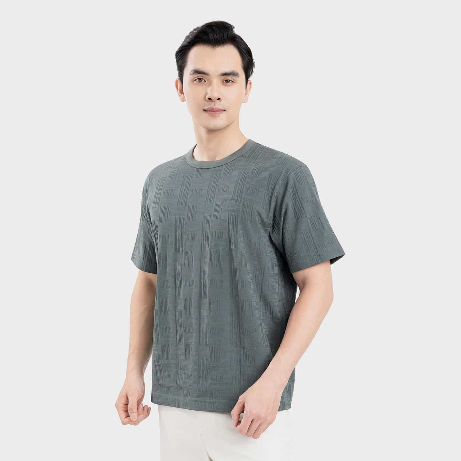 Áo Thun Ngắn Tay Nam Aristino Relax ATS204SAH0