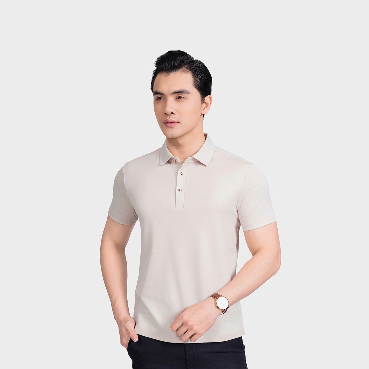 Áo Polo Nam Aristino Business Regular Fit 1PS031AS2