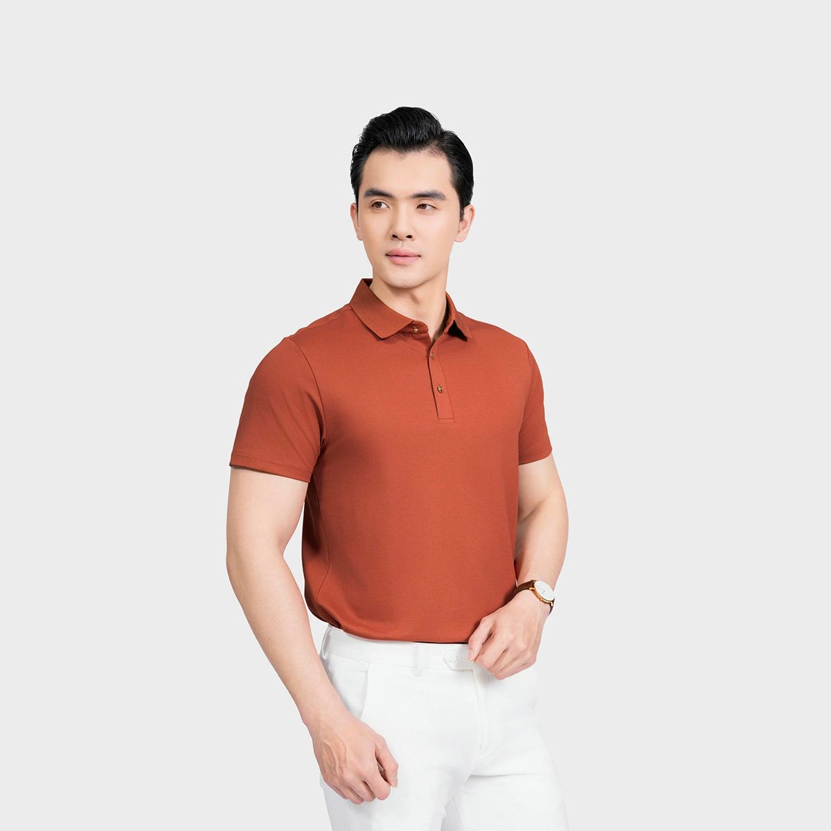 Áo Polo Nam Aristino Busines Regular Fit 1PS034AS3