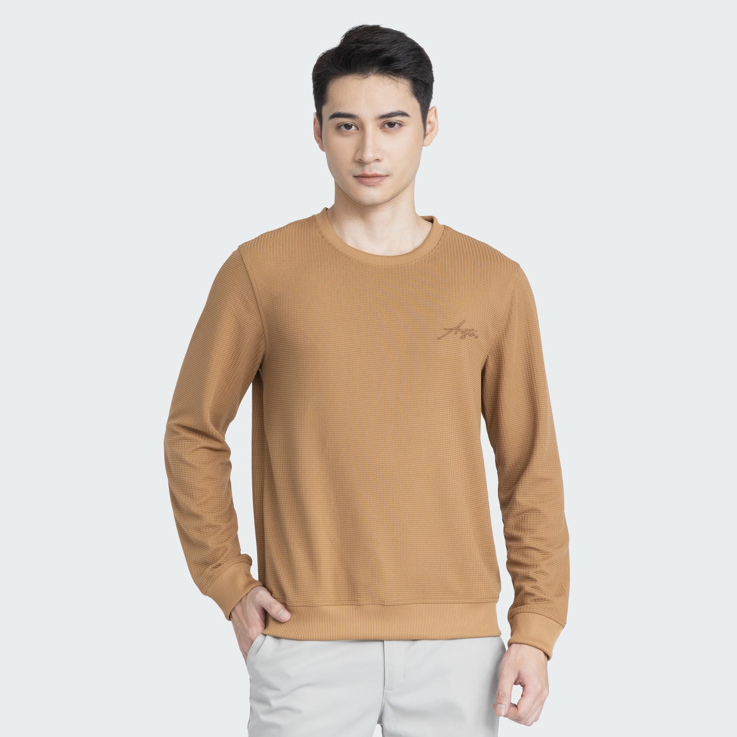 Áo nỉ Sweatshirt Nam Aristino Regular Fit ASW001W3