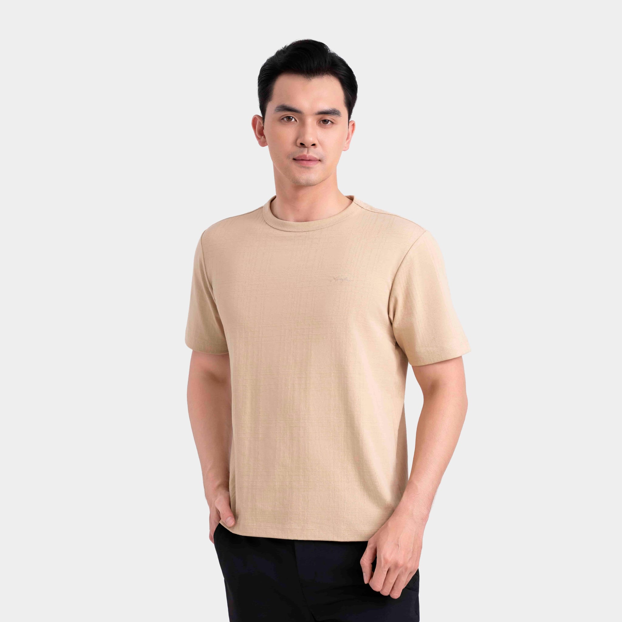 Áo Thun Ngắn Tay Nam Aristino Regular ATS002FAH0