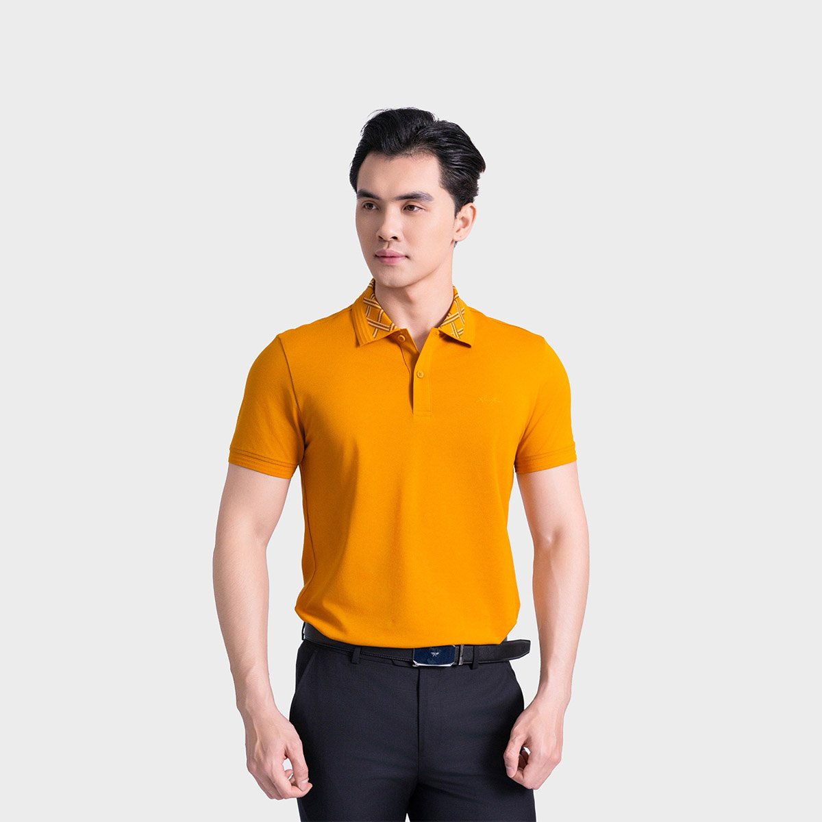 Áo Polo Nam Aristino Regular Fit APS085AS3