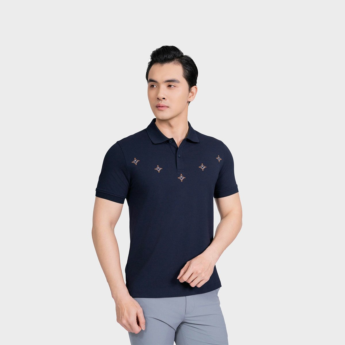 Áo Polo Thêu Nam Aristino Regular Fit Plus APS608AS2S
