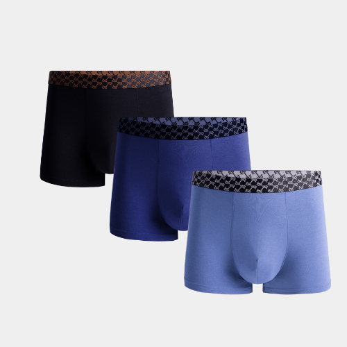 Quần Lót Nam Boxer Aristino ABX090