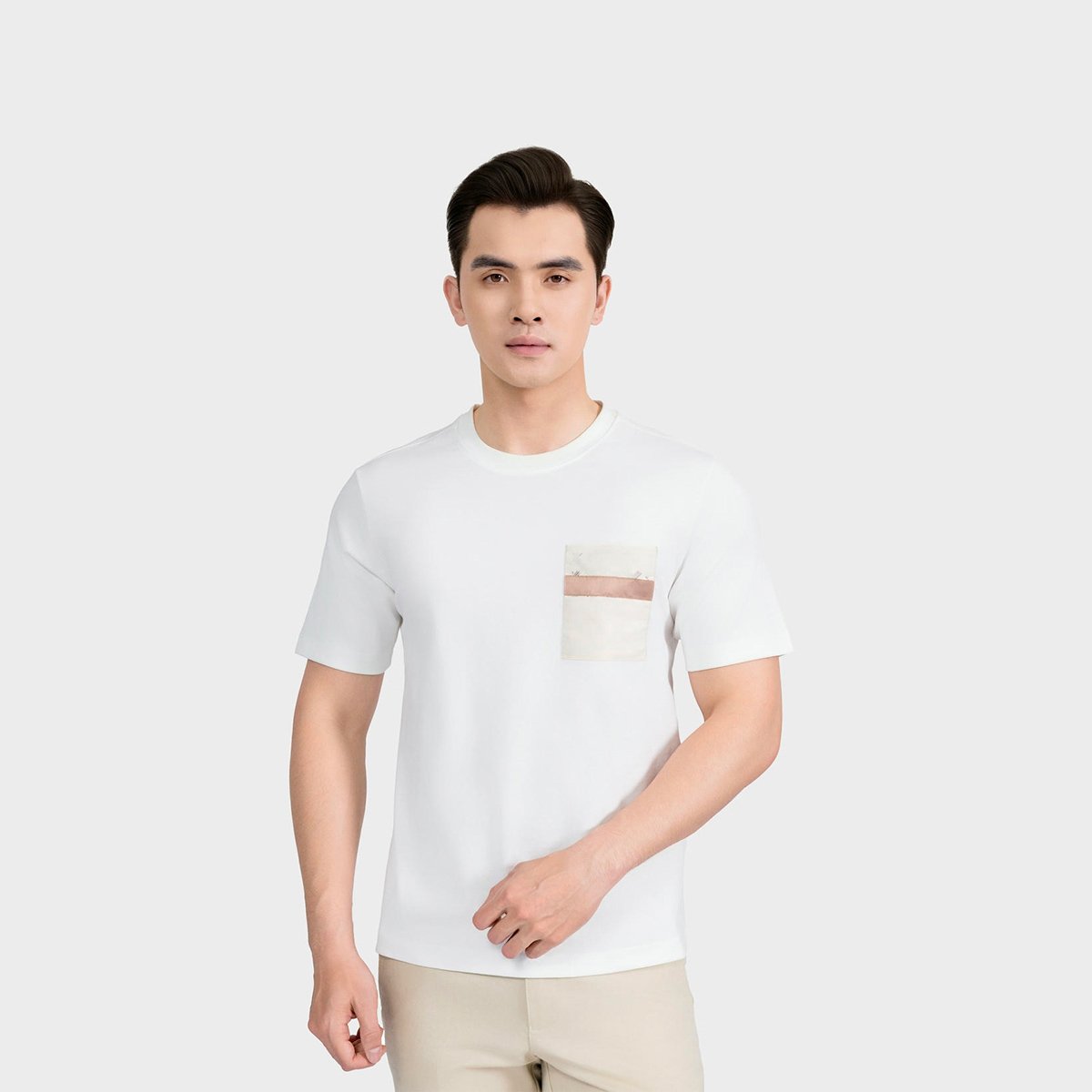 Áo Thun T-Shirt Nam Aristino Regular Fit ATS010AS0