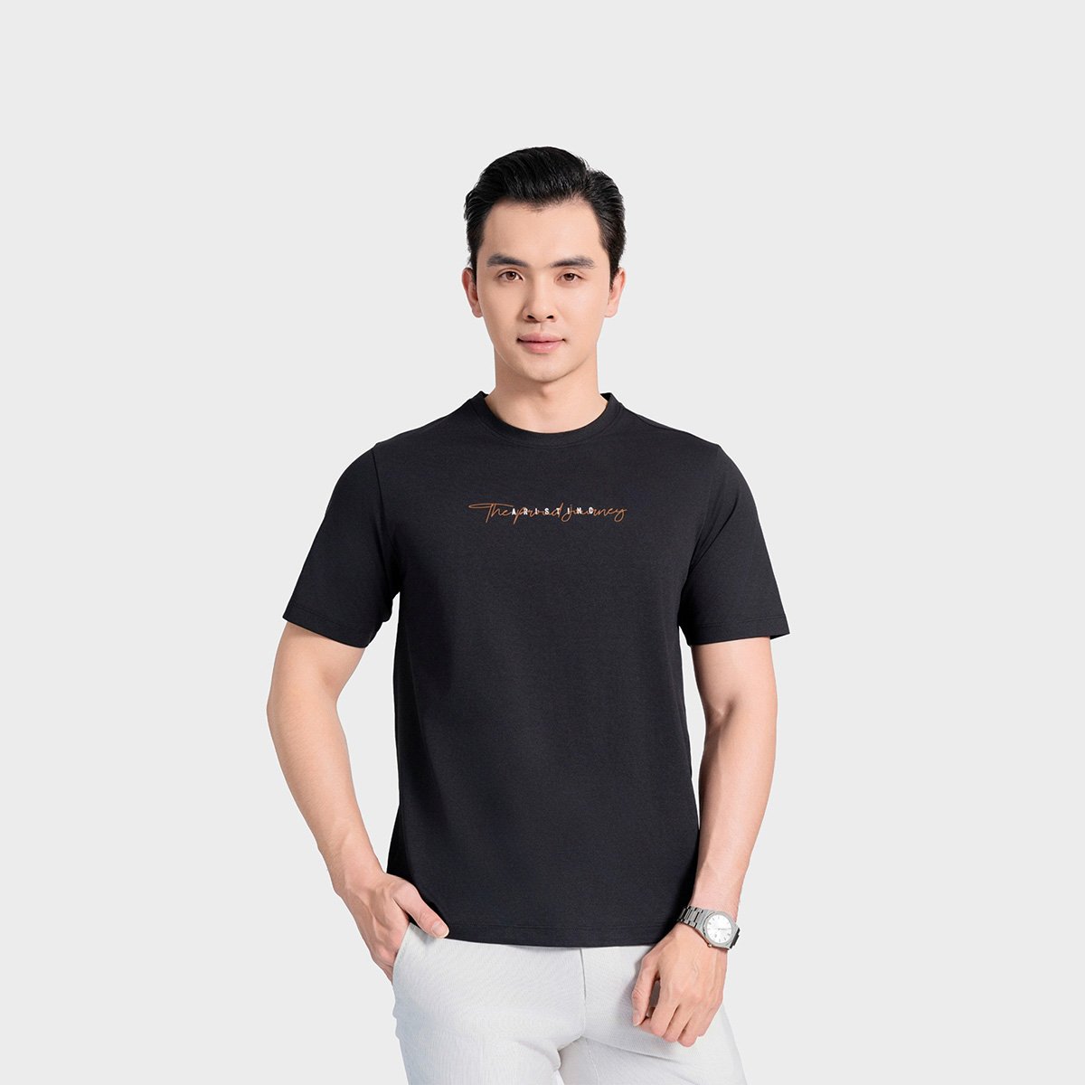 Áo Thun T-shirt Nam Aristino Regular Fit ATS011AS0