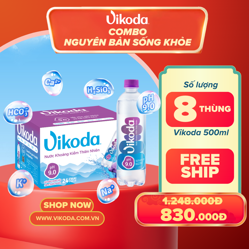  Combo 8 Thùng VIKODA 500ml 