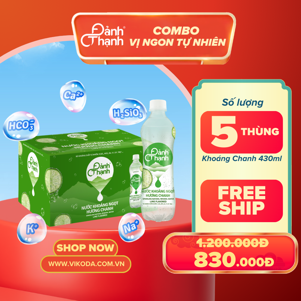  Combo 5 Thùng Nước Khoáng Chanh Đảnh Thạnh 430ml 