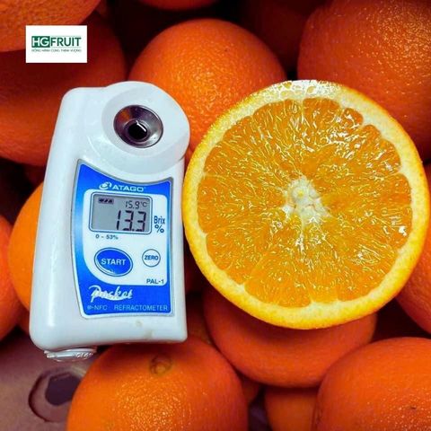  Cam Vàng Navel Mỹ - Cam Purespect Siêu Ngọt 