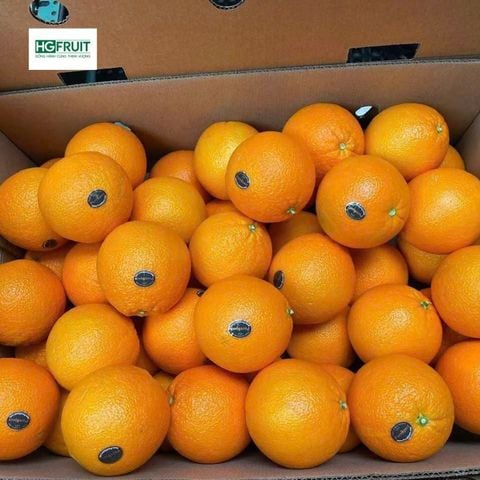  Cam Vàng Navel Mỹ - Cam Purespect Siêu Ngọt 