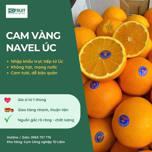  Cam Vàng Navel Úc - Nippy's 