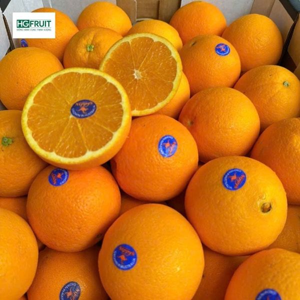  Cam Vàng Navel Úc - Nippy's 
